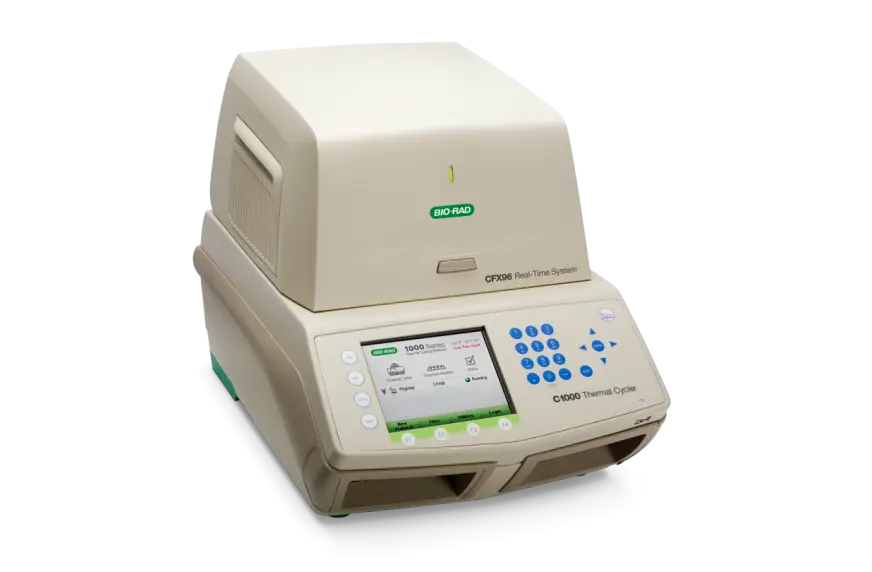 RTPCR_biorad